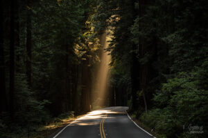 road trip from portland to san francisco
