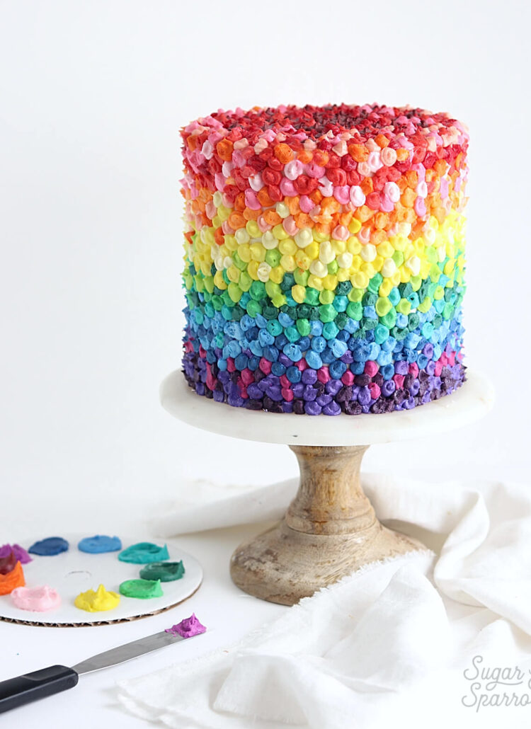 rainbow cake by sugar and sparrow