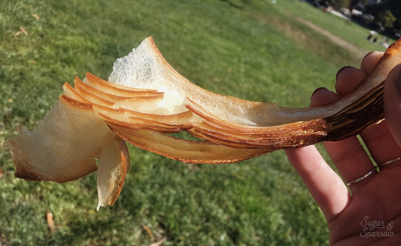 flaky croissant from tartine bakery san francisco