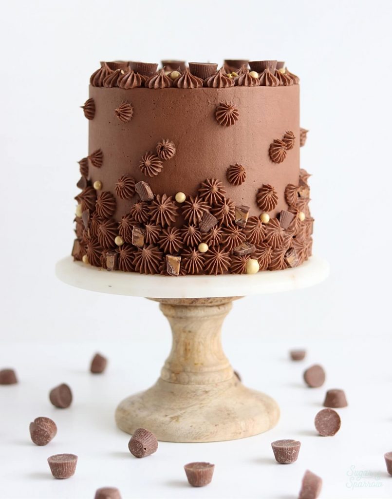 chocolate peanut butter cake recipe