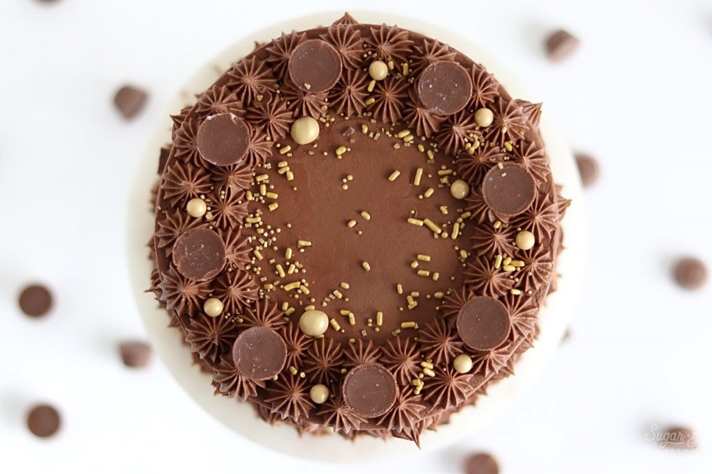 chocolate peanut butter cake