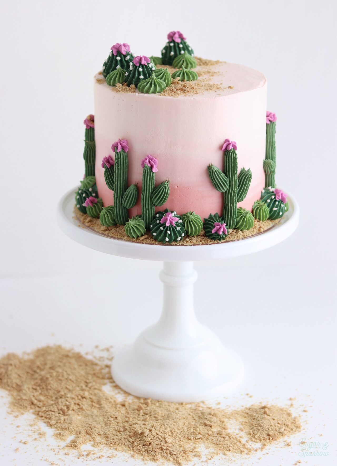 A Cactus Cake With Major Desert Vibes - Sugar & Sparrow