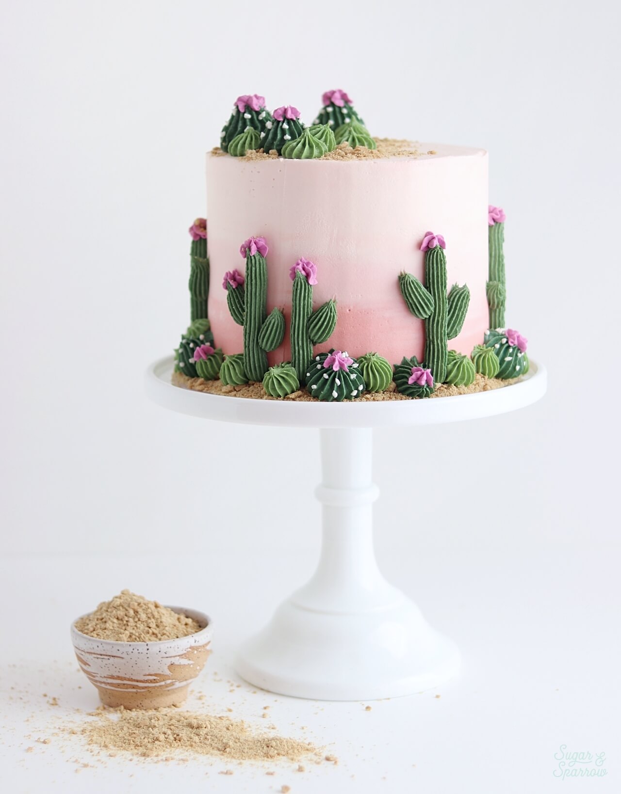 desert cake with cactus tutorial