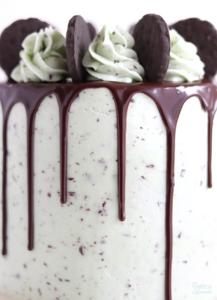 Mint Chocolate Cake - Sweetest Menu