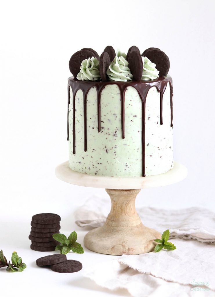 Mint Chocolate Chip Cake Recipe 