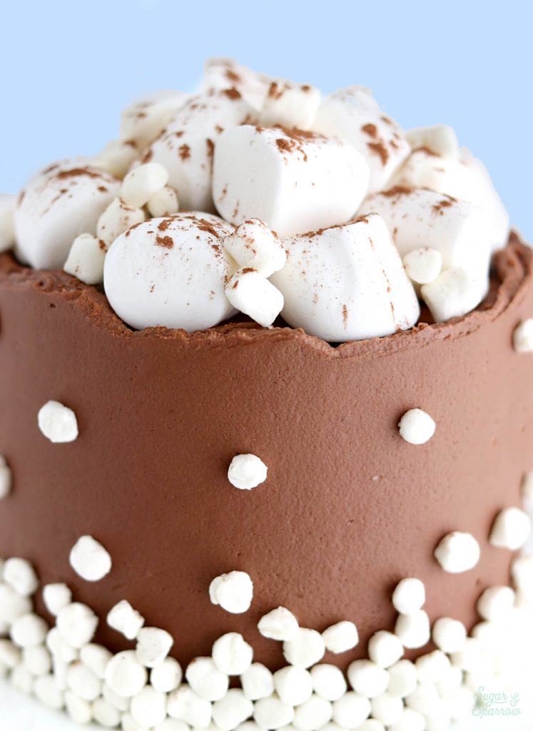 hot cocoa cake with marshmallows