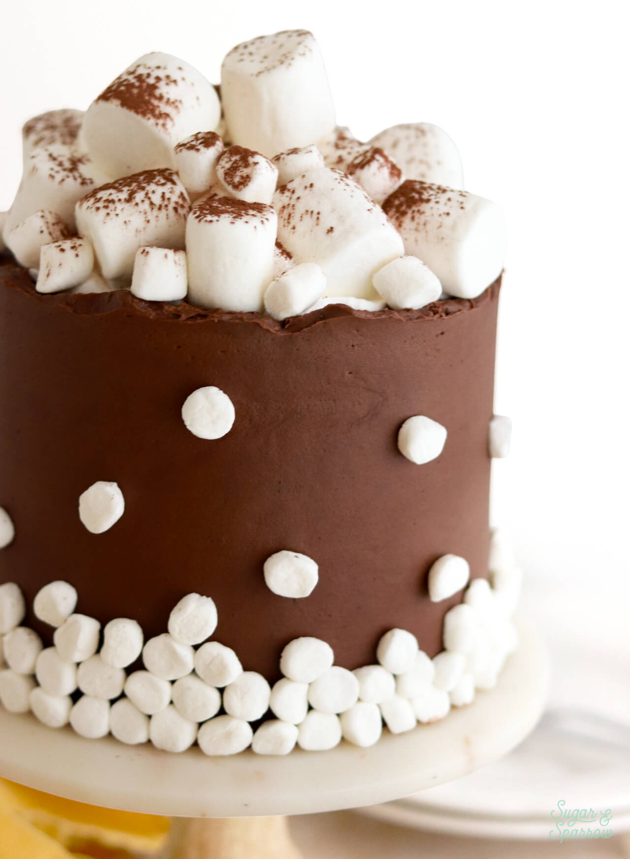 chocolate buttercream flavored with hot cocoa mix
