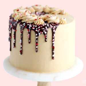 peppermint mocha cake recipe