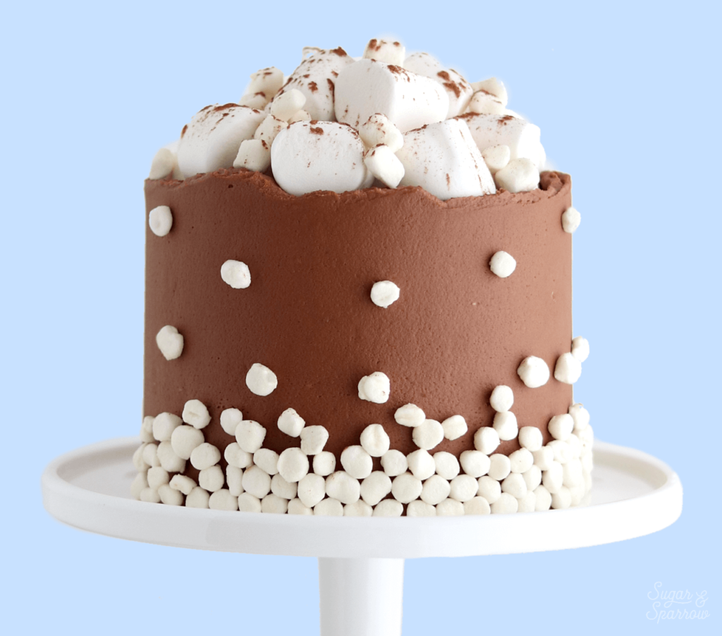 hot cocoa cake recipe by sugar and sparrow