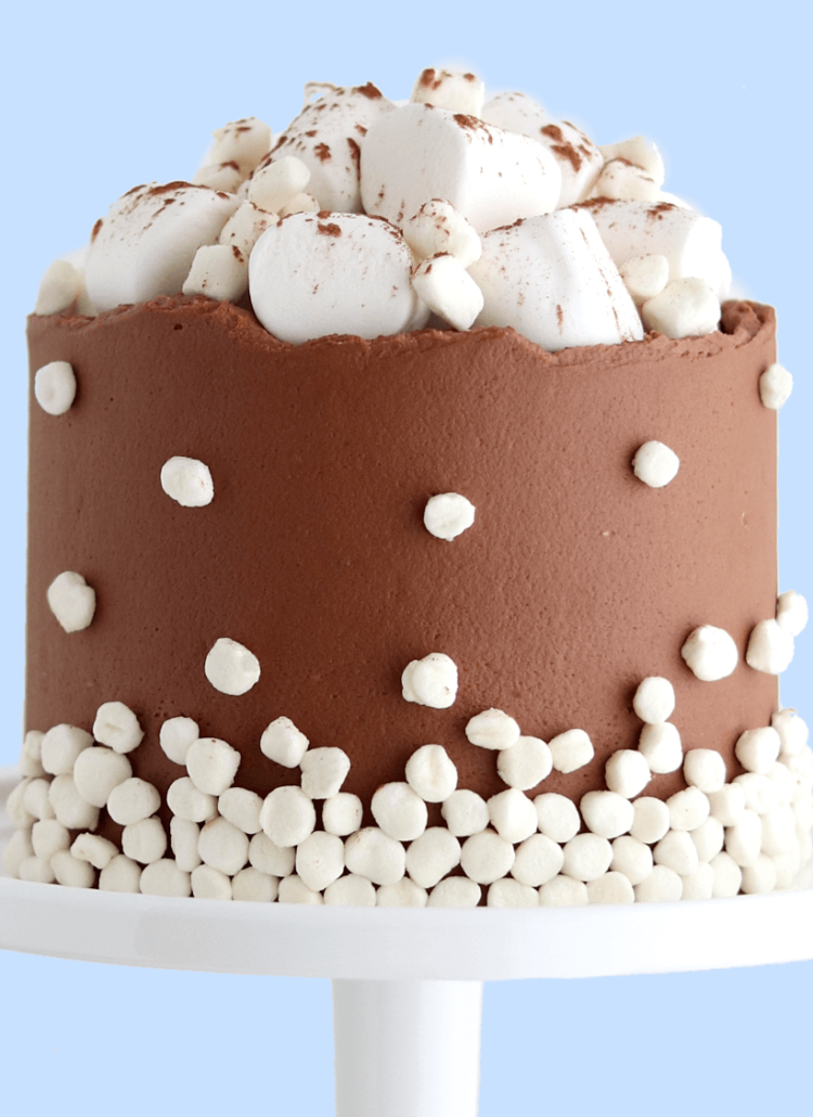 hot cocoa cake recipe by sugar and sparrow