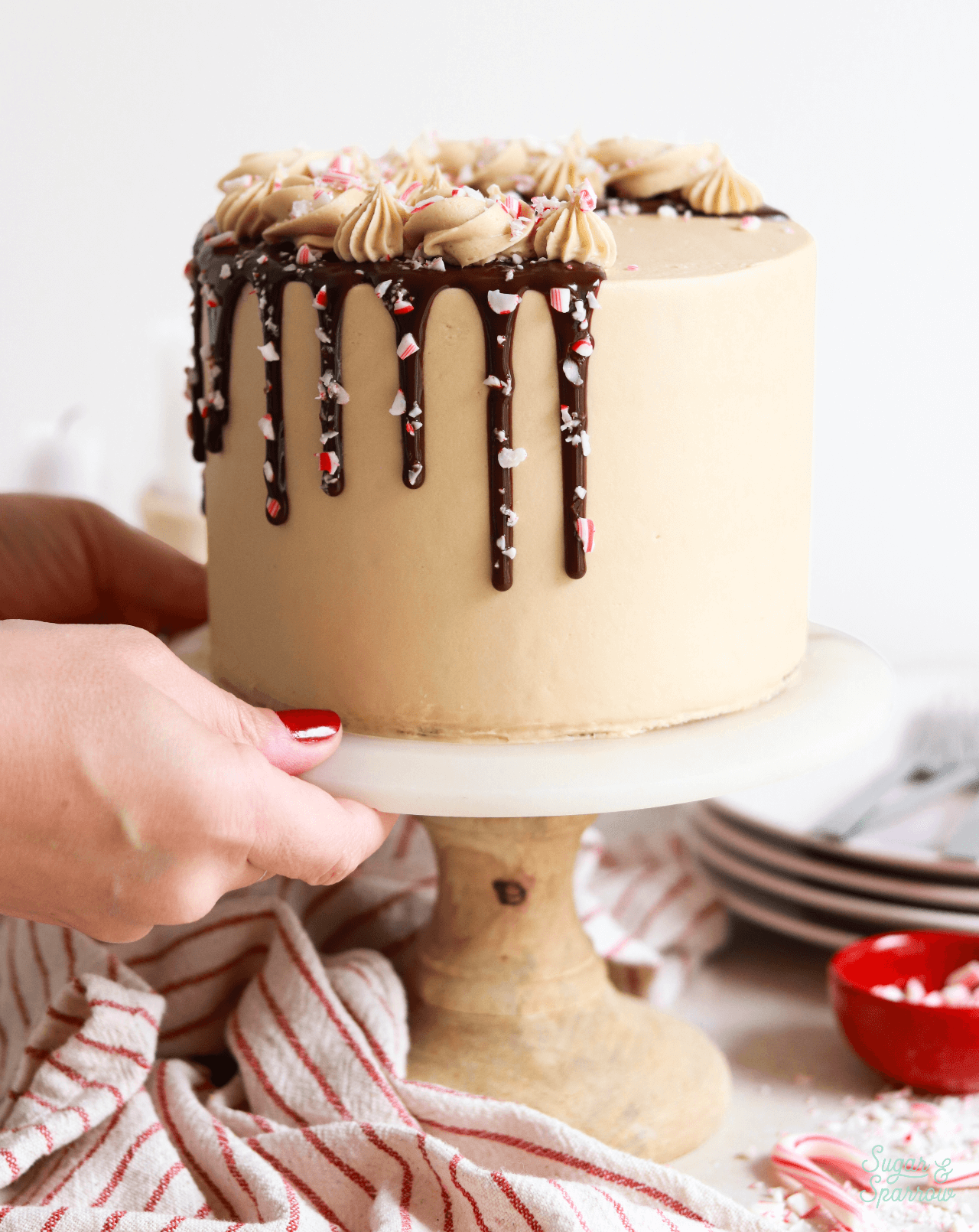 peppermint mocha cake recipe with candy cane ganache drip