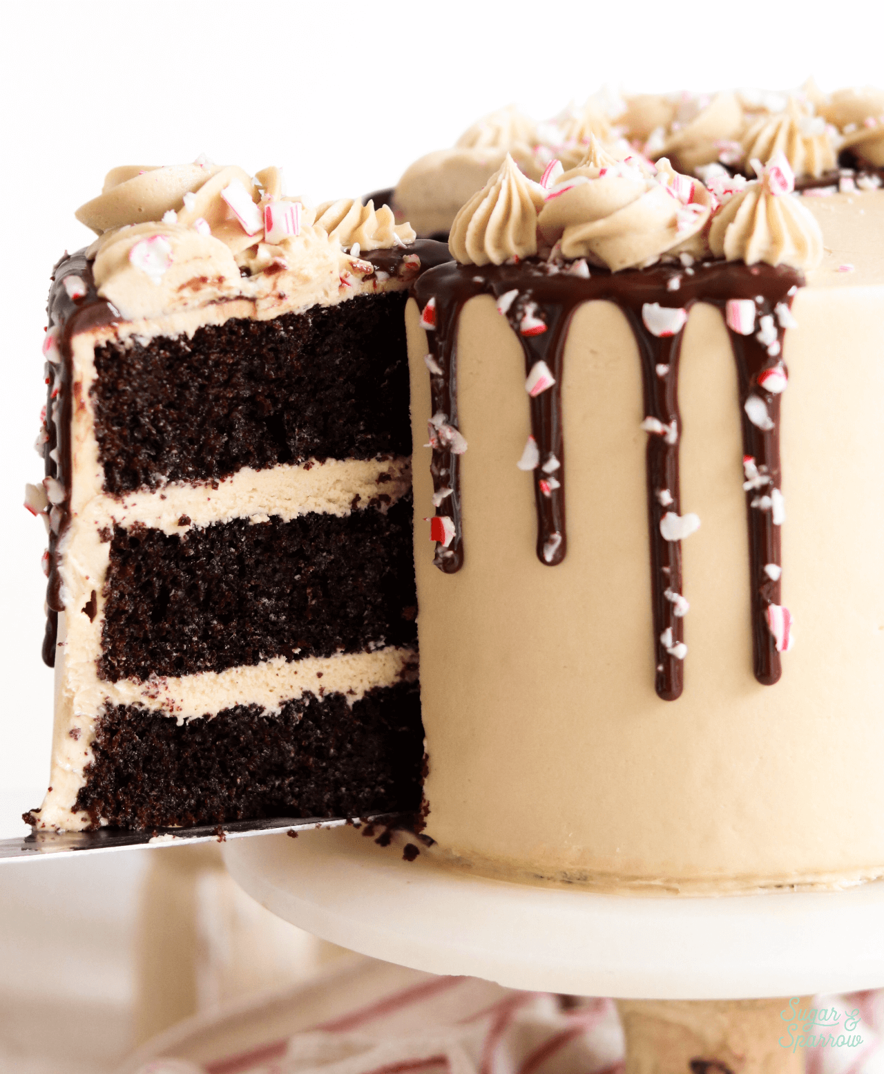 peppermint chocolate cake with coffee buttercream