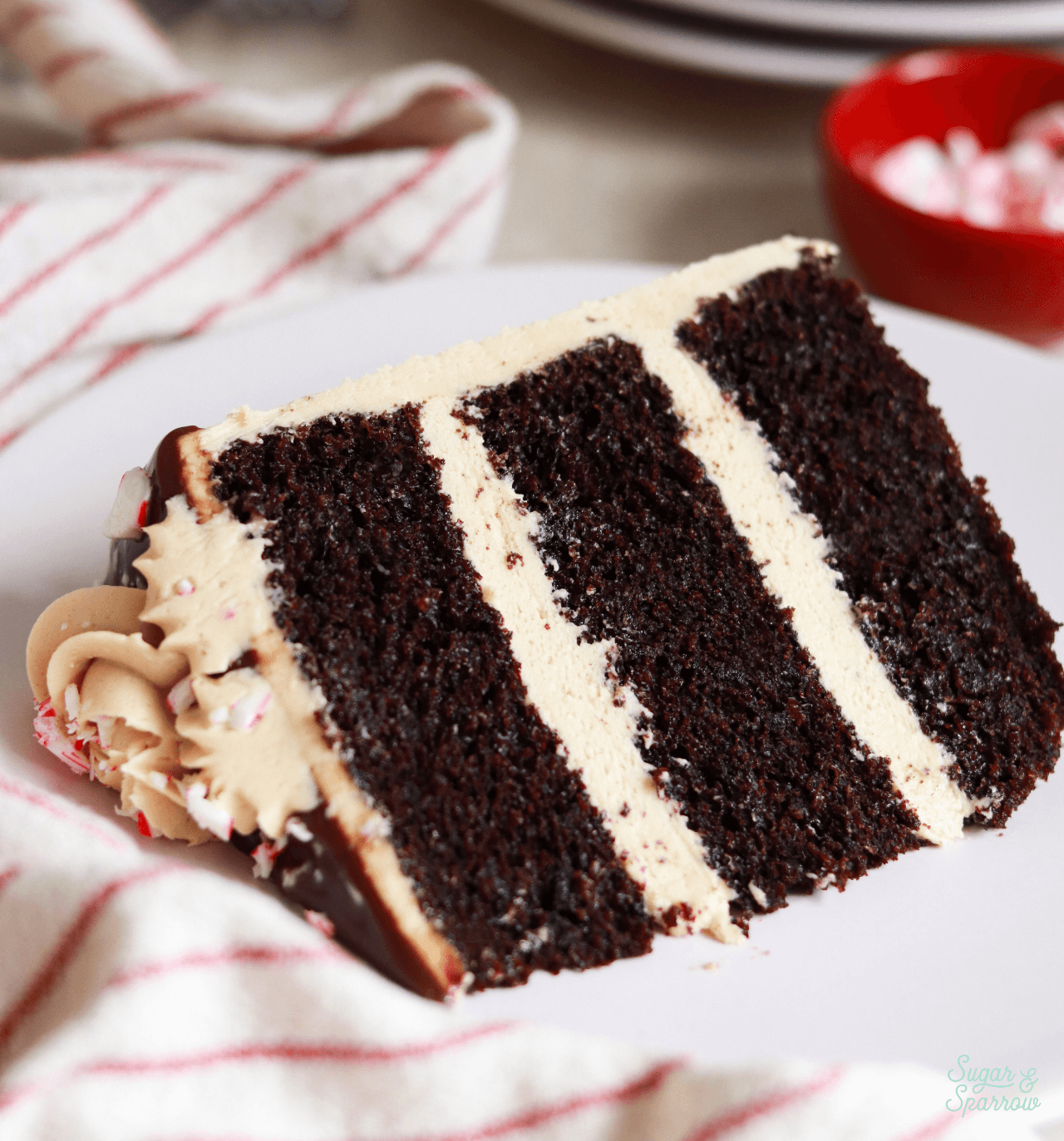 chocolate peppermint cake with coffee flavored frosting