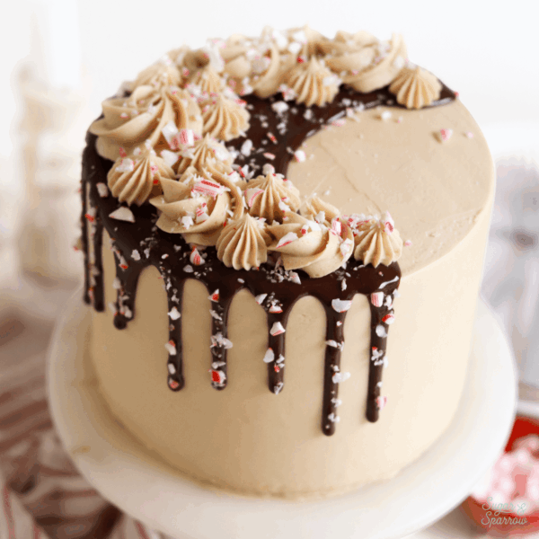 peppermint mocha cake recipe by sugar and sparrow