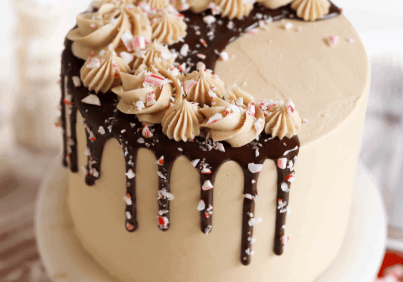 peppermint mocha cake recipe by sugar and sparrow