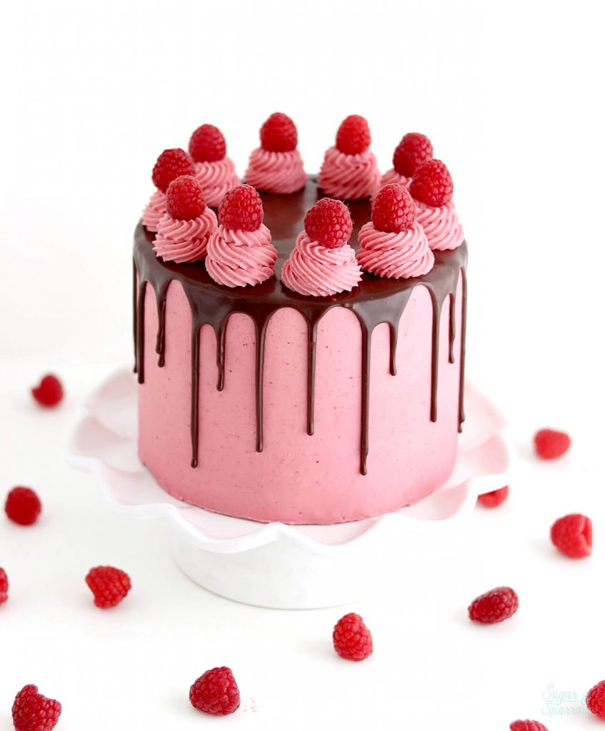 Malted Chocolate Raspberry Cake | Southern FATTY