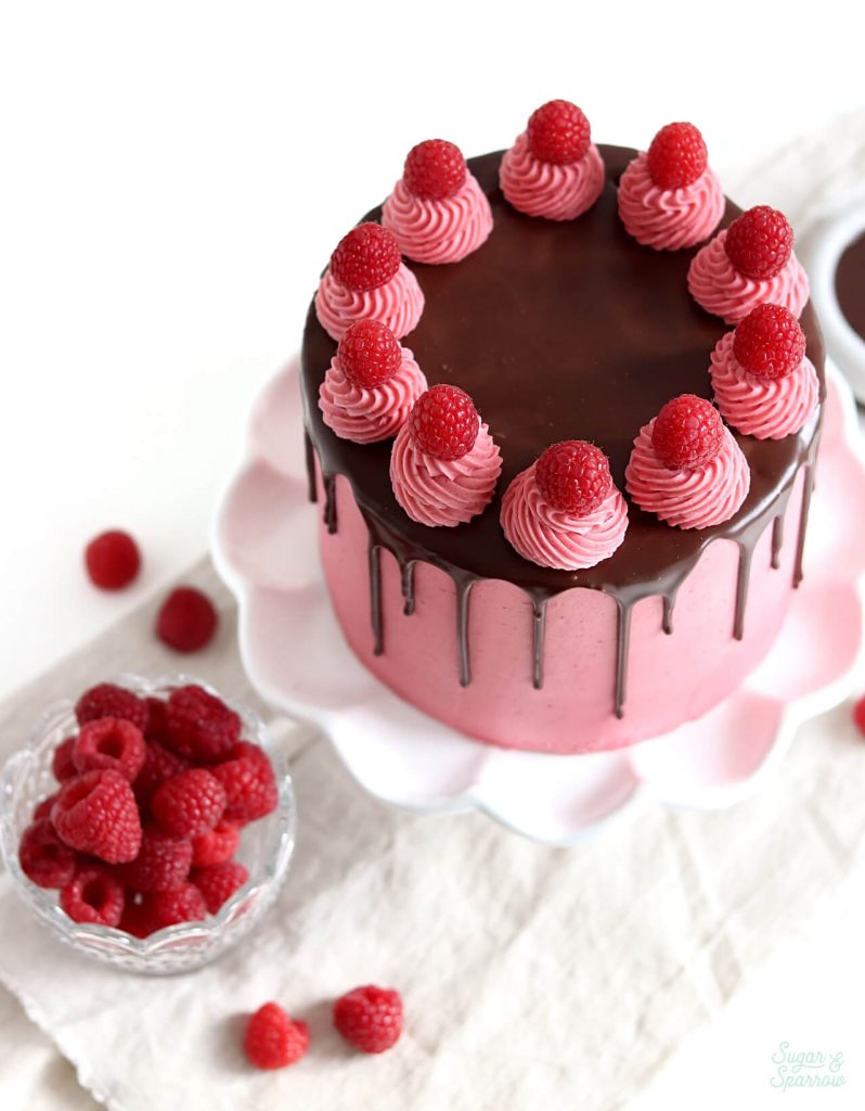 chocolate cake with raspberry frosting