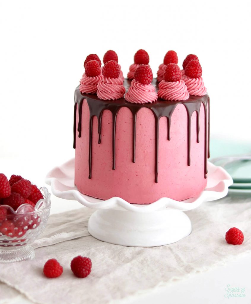 raspberry chocolate cake recipe by sugar and sparrow