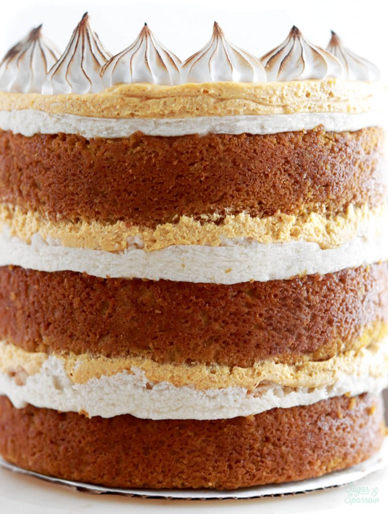 pumpkin pie cake recipe