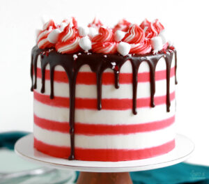 peppermint hot cocoa cake