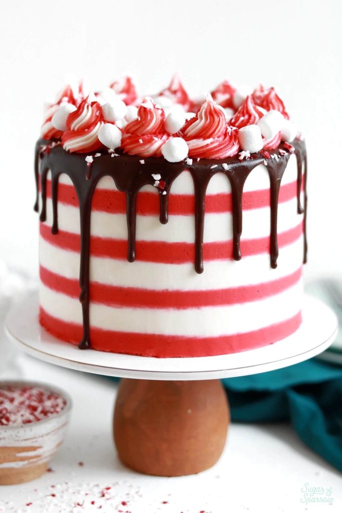 Peppermint hot cocoa cake recipe