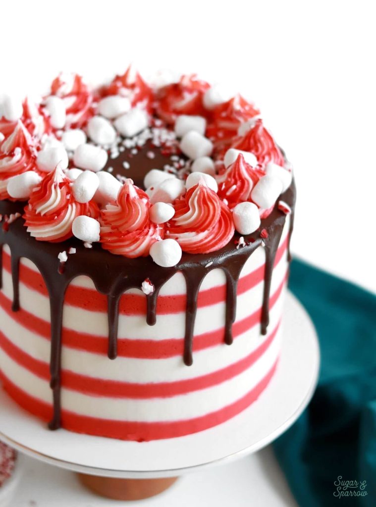 https://sugarandsparrow.s3.us-west-2.amazonaws.com/flour/wp-content/uploads/2021/12/21213451/Peppermint-Hot-Cocoa-Cake-Recipe-2-759x1024.jpeg