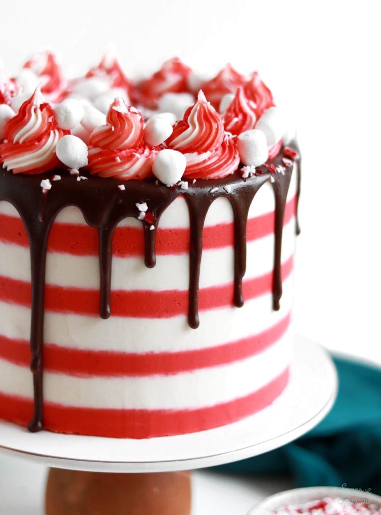 https://sugarandsparrow.s3.us-west-2.amazonaws.com/flour/wp-content/uploads/2021/12/21213902/Peppermint-Hot-Cocoa-Cake-Recipe-15-759x1024.jpeg