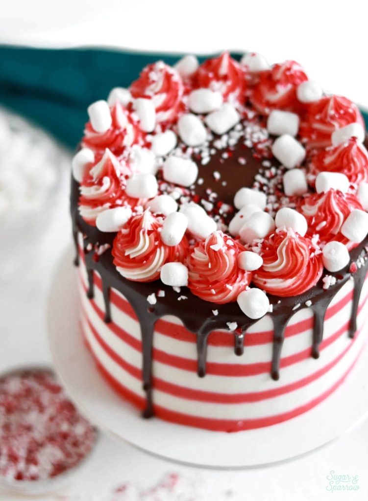 Peppermint Hot Cocoa Cake Recipe - Sugar & Sparrow