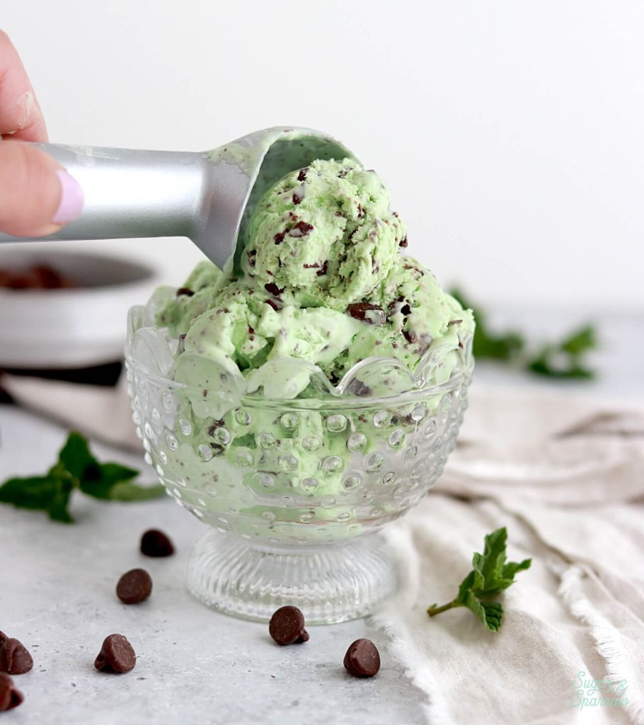 Mint ice cream best sale without ice cream maker