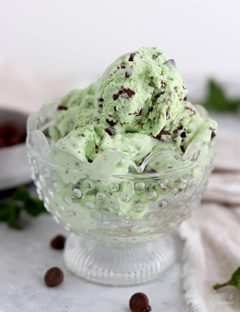 no churn ice cream recipe mint chocolate chip