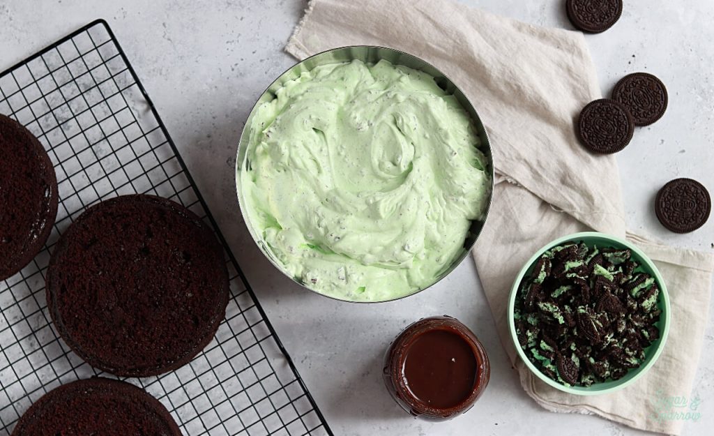 no churn mint chocolate chip ice cream layer cake