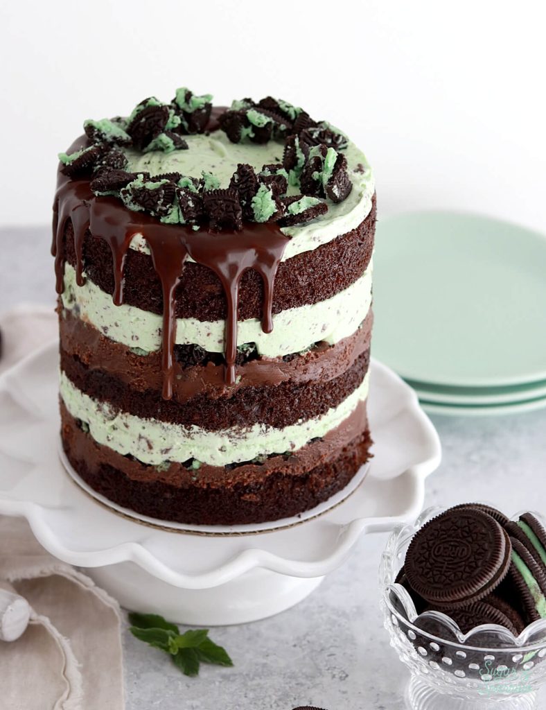 easy mint chocolate chip ice cream cake