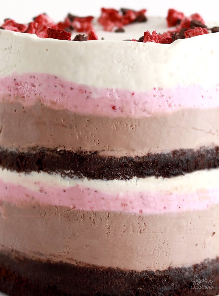 Epic Neapolitan Ice Cream Cake