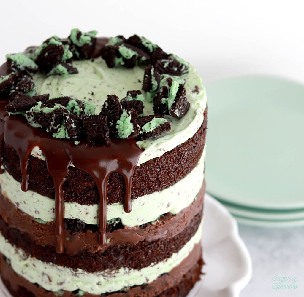 mint chocolate chip ice cream cake recipe