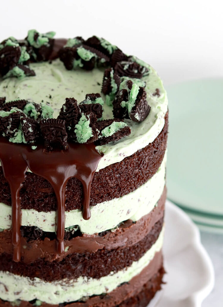 mint chocolate chip ice cream cake recipe