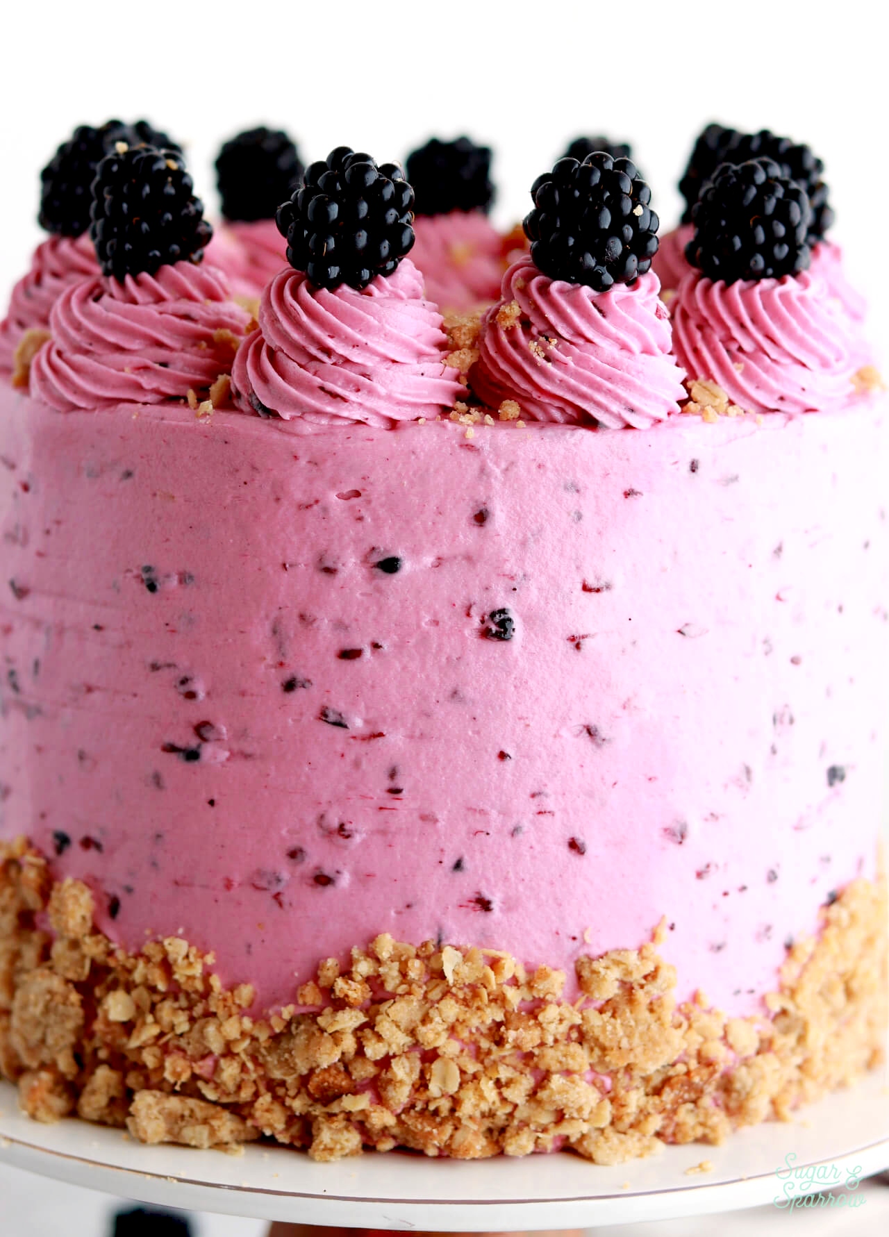 blackberry crisp layer cake recipe by sugar and sparrow