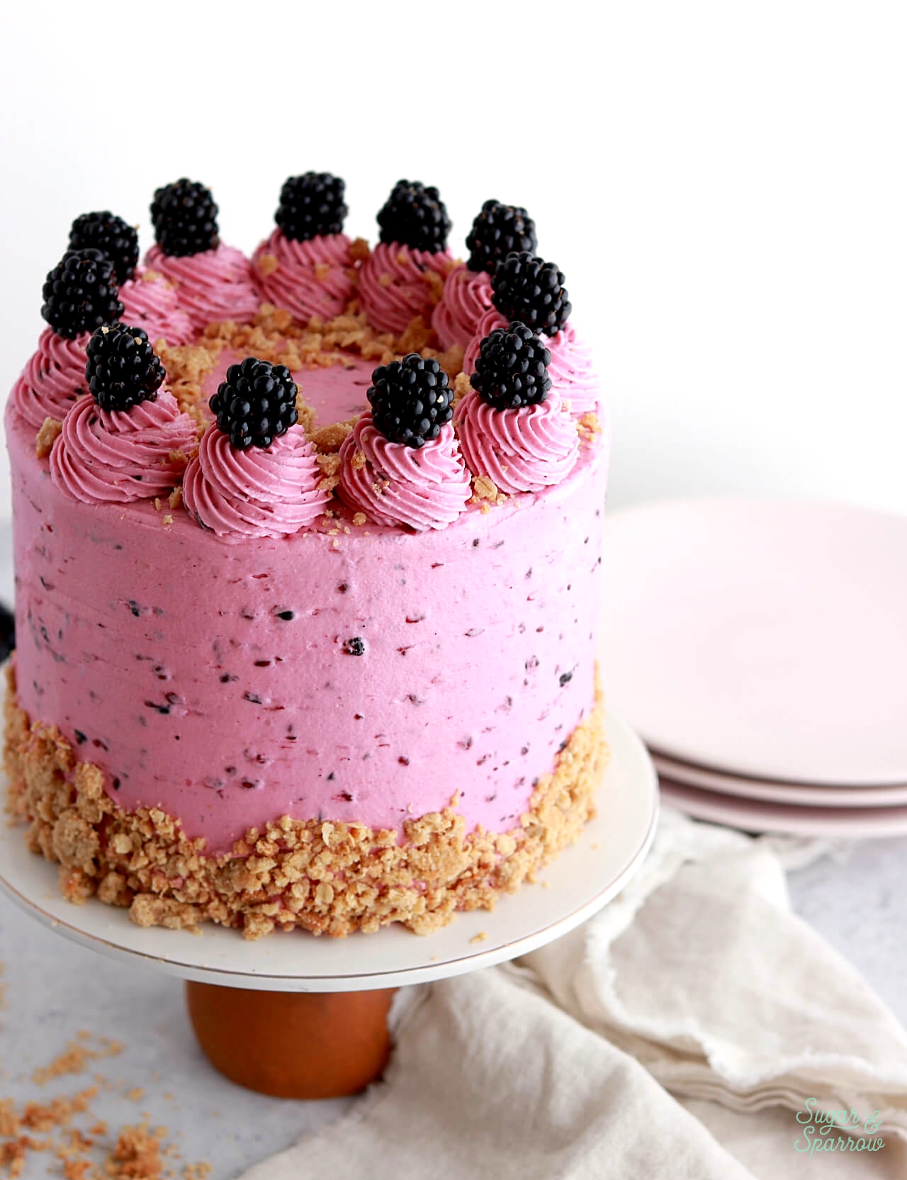 blackberry cake with crisp topping