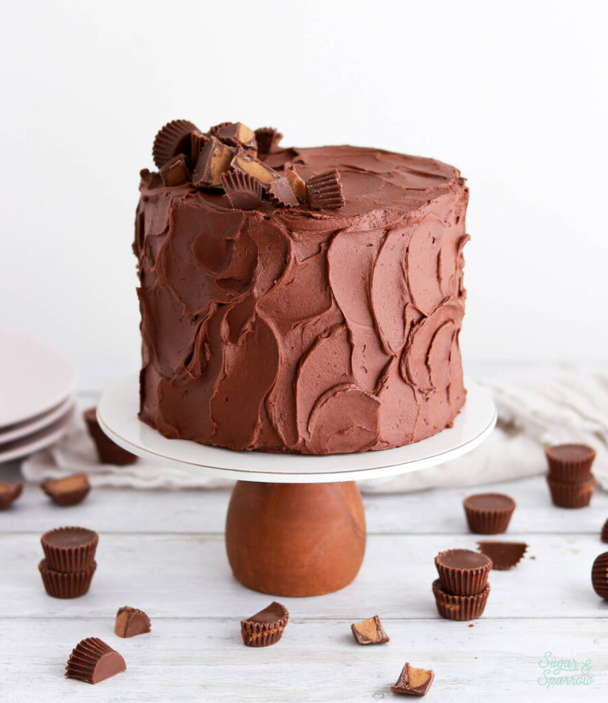 double chocolate peanut butter cake by sugar and sparrow