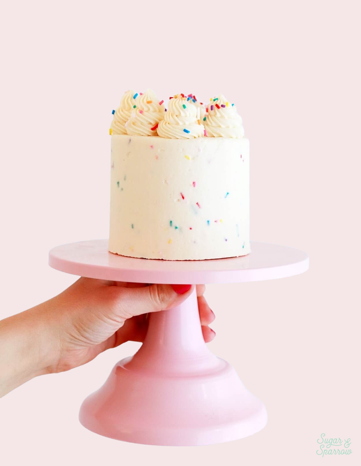 funfetti smash cake recipe