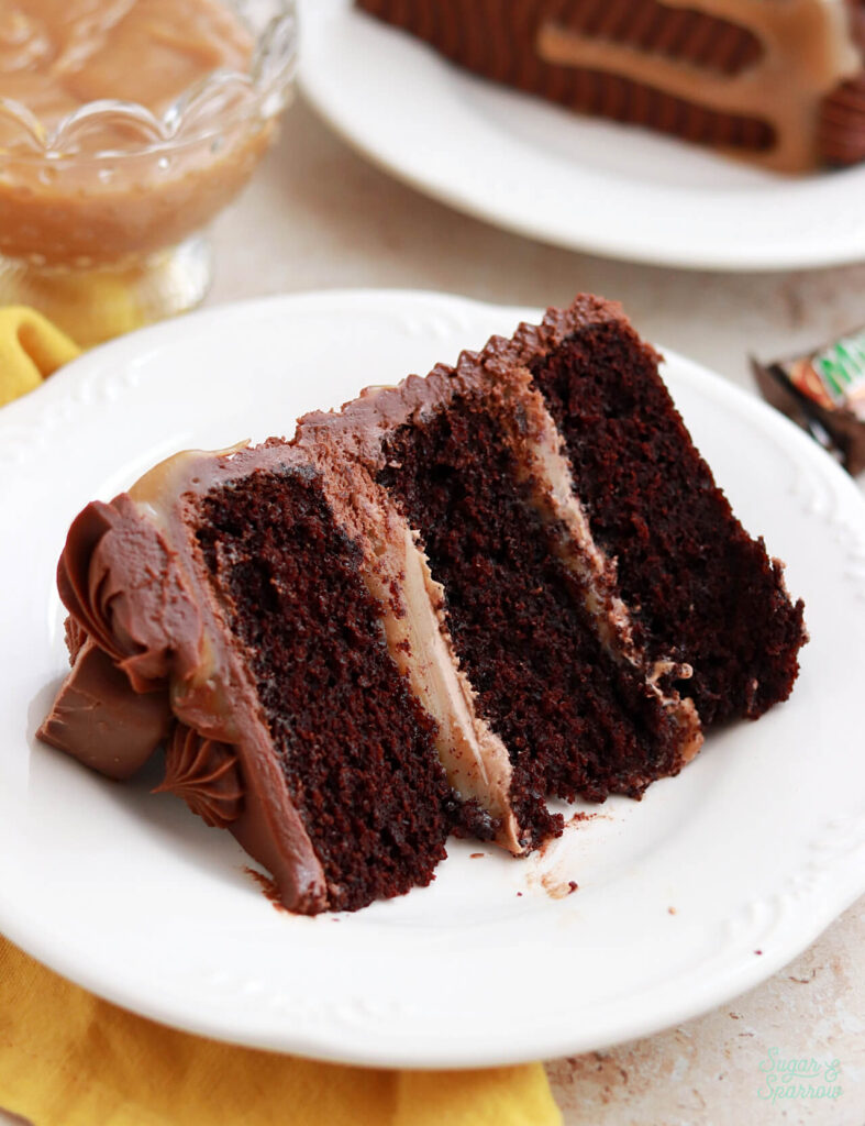 chocolate caramel cake recipe by sugar and sparrow