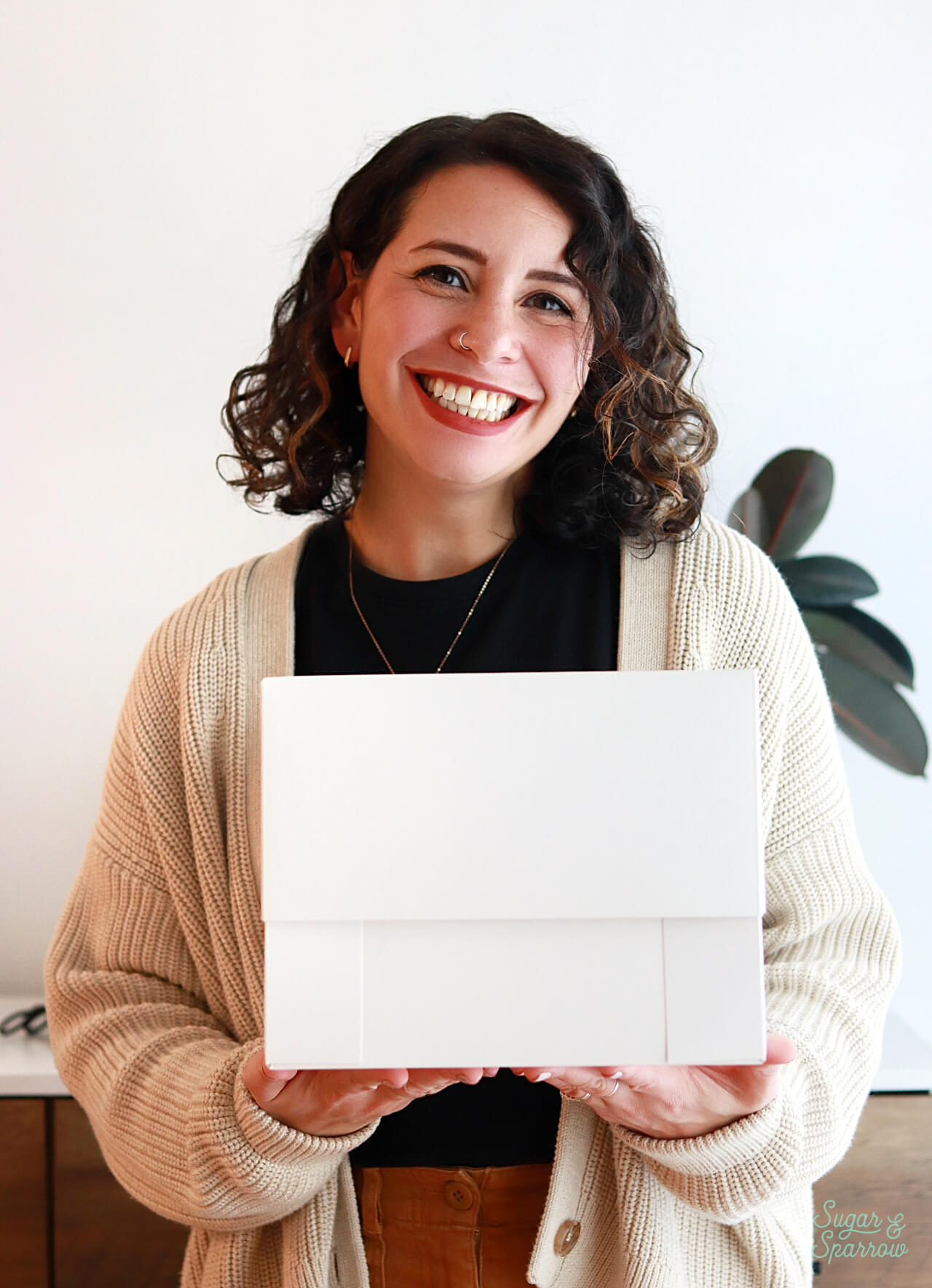 boxes for tall cakes