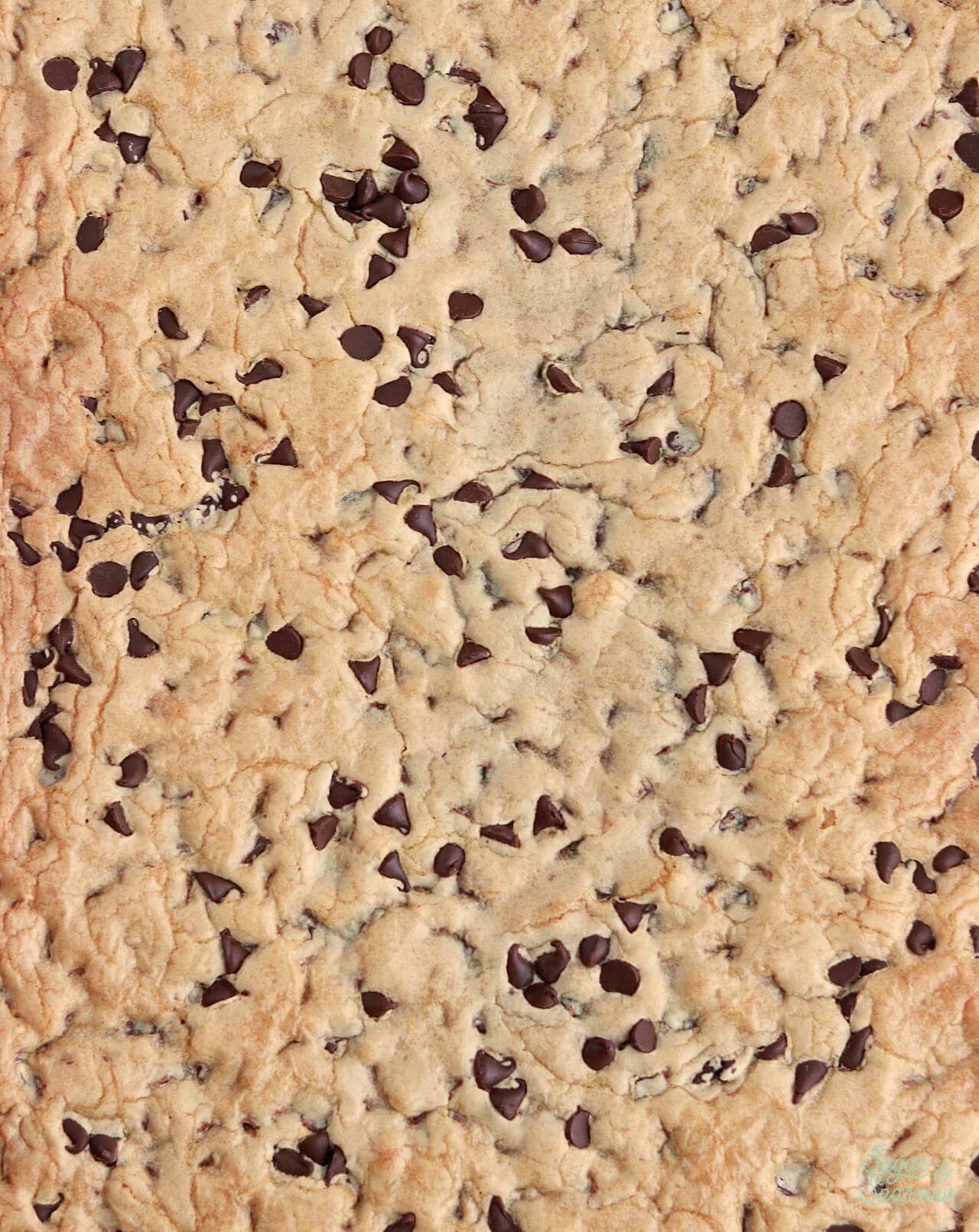 sheet pan chocolate chip cookie recipe
