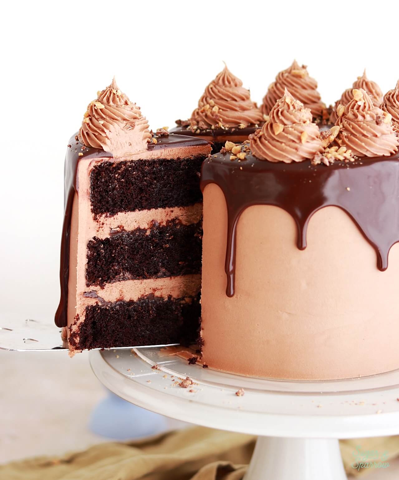 nutella cake recipe by sugar and sparrow
