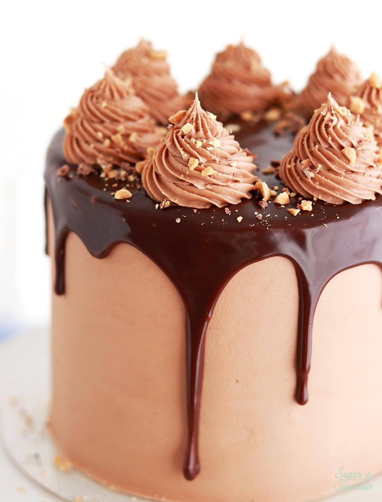 nutella ganache drip cake recipe