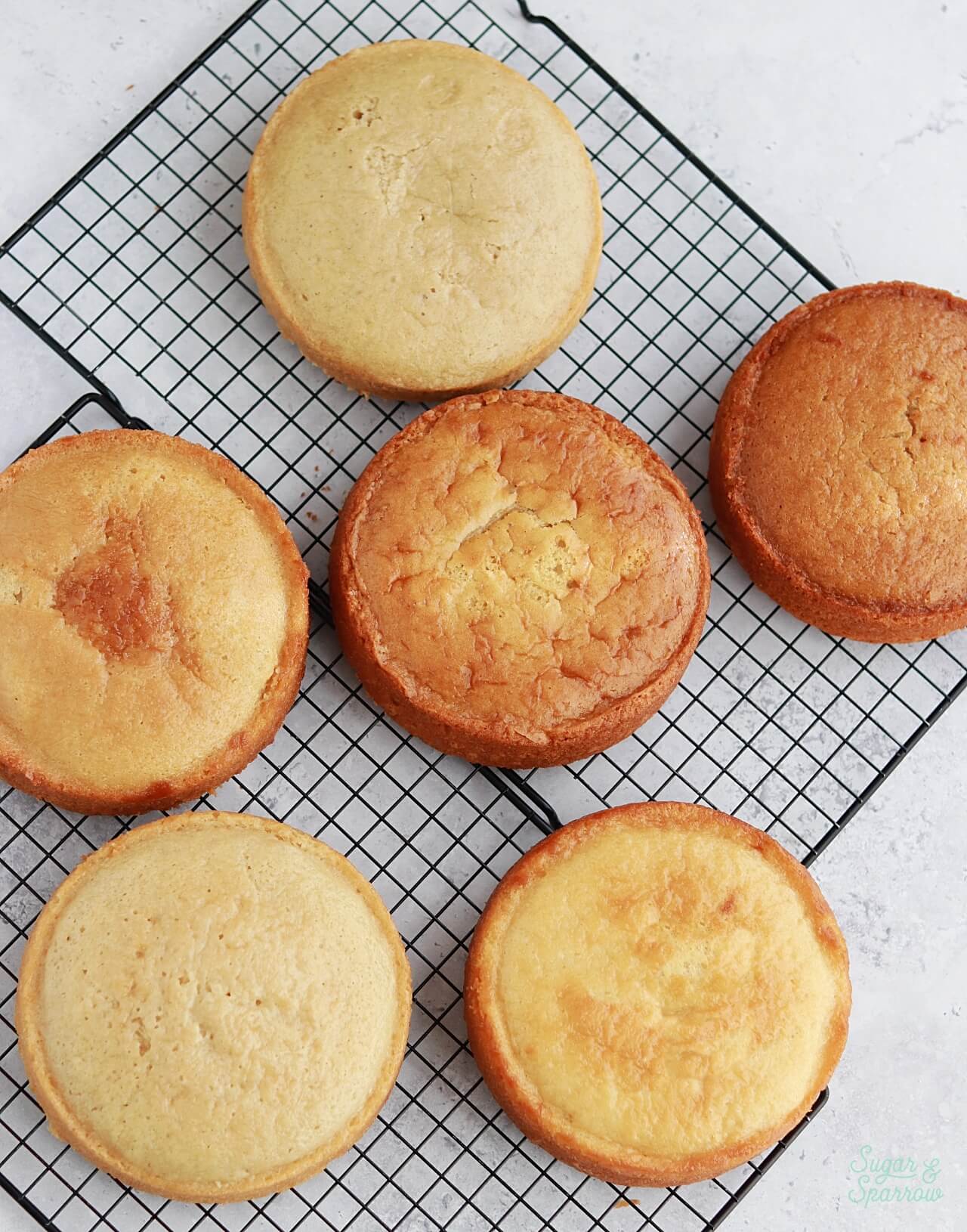 eggless vanilla cake testing