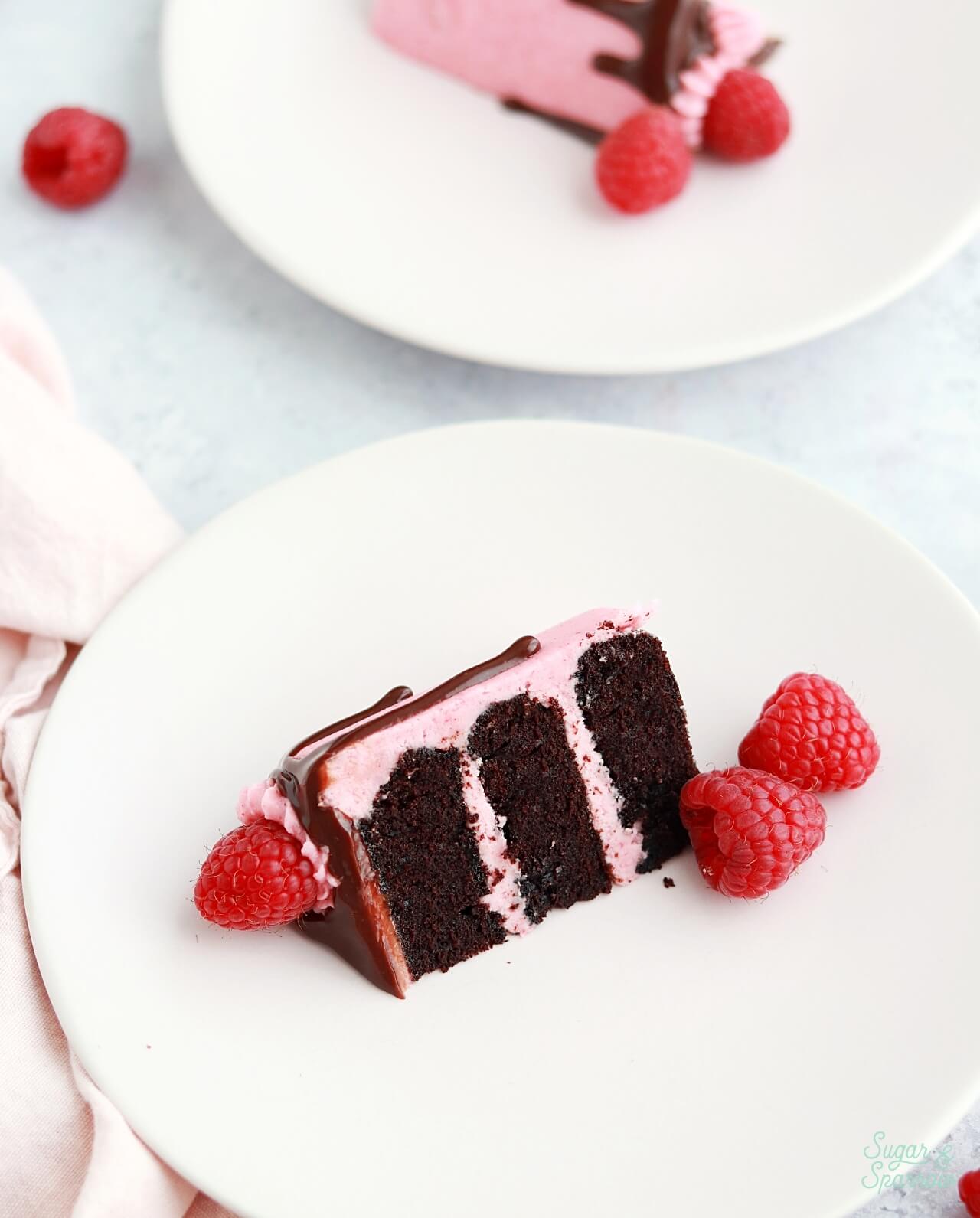 small batch chocolate cake recipe with raspberry buttercream