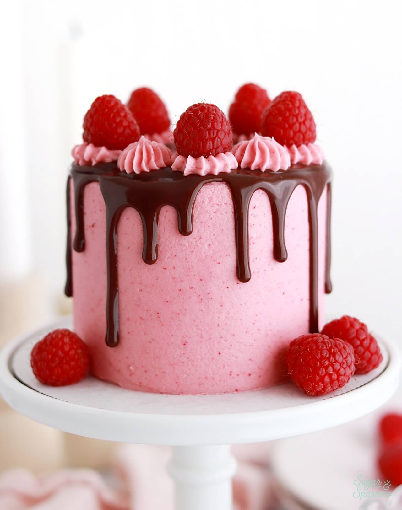 mini raspberry chocolate cake recipe for two