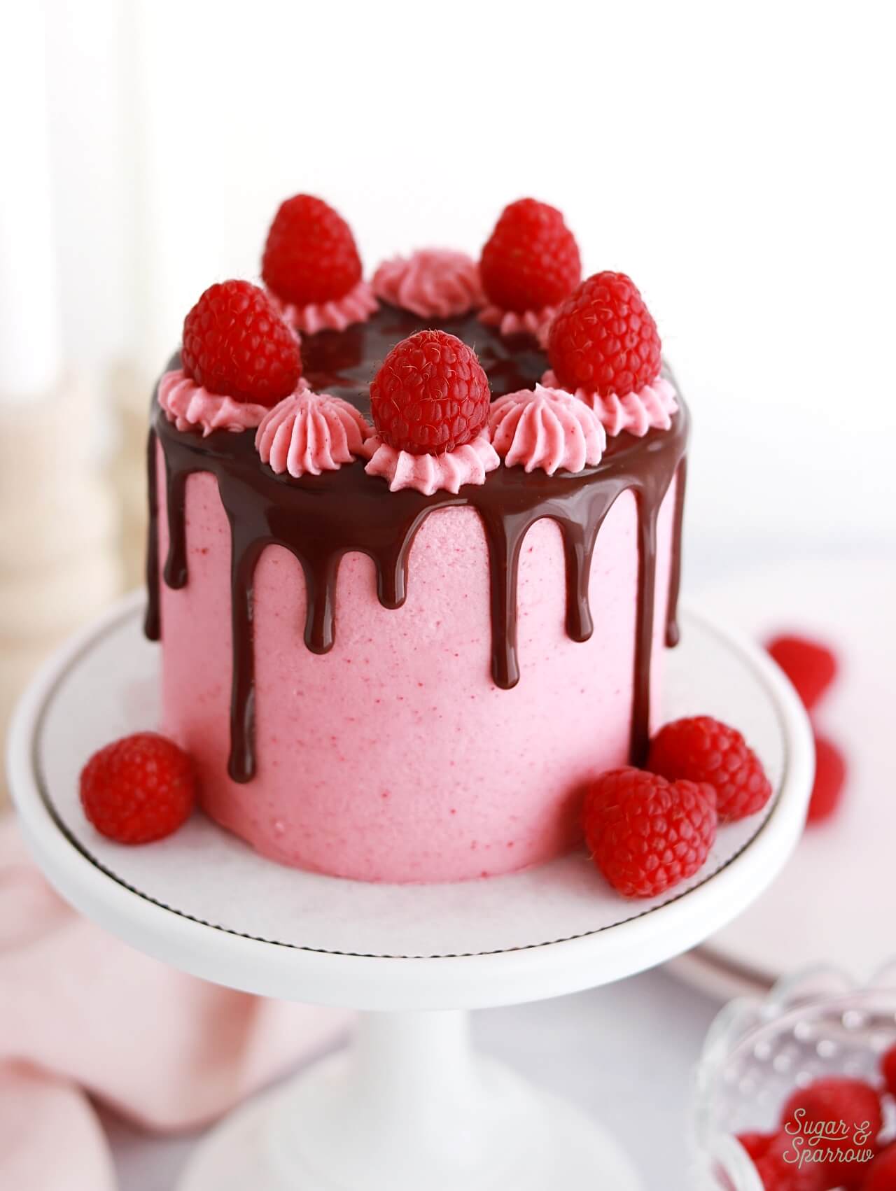 raspberry chocolate cake for two