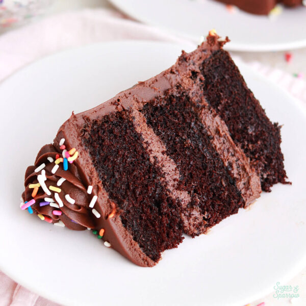 eggless chocolate birthday cake recipe by sugar and sparrow