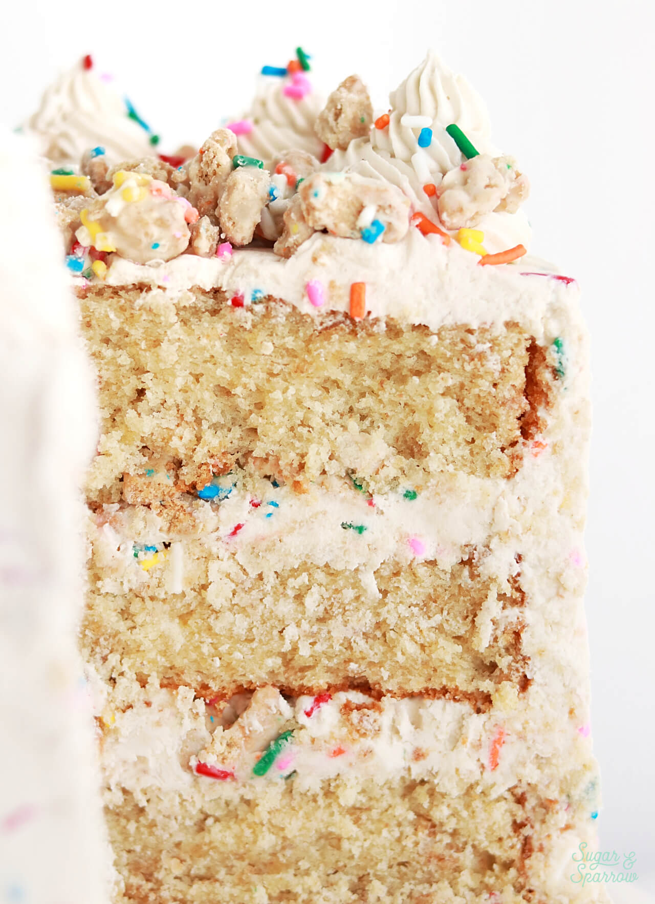 dunkaroos cake recipe by sugar and sparrow